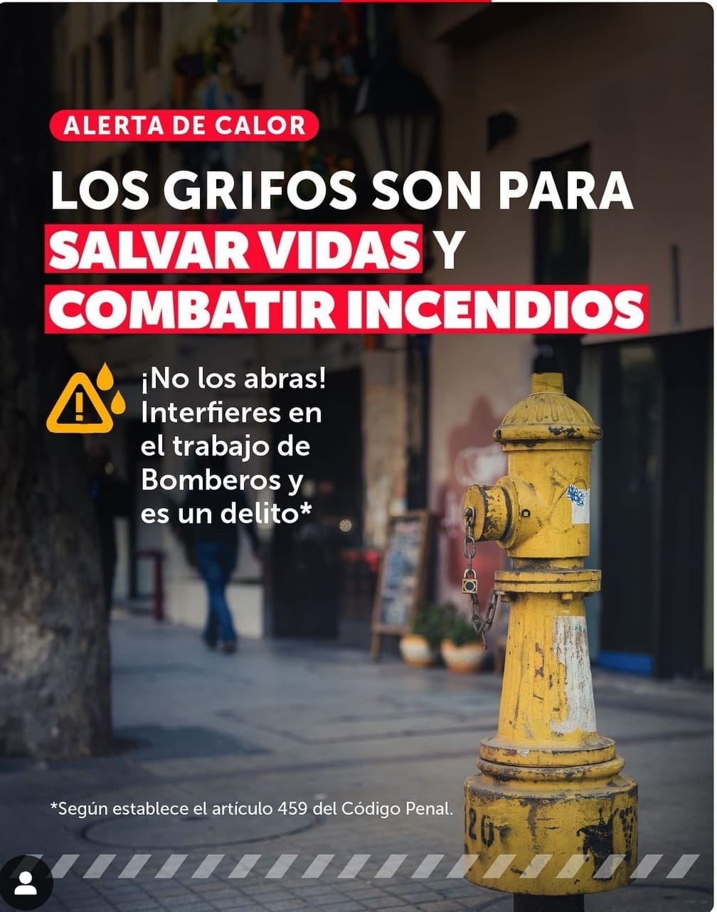 Imagen de WhatsApp 2024-02-06